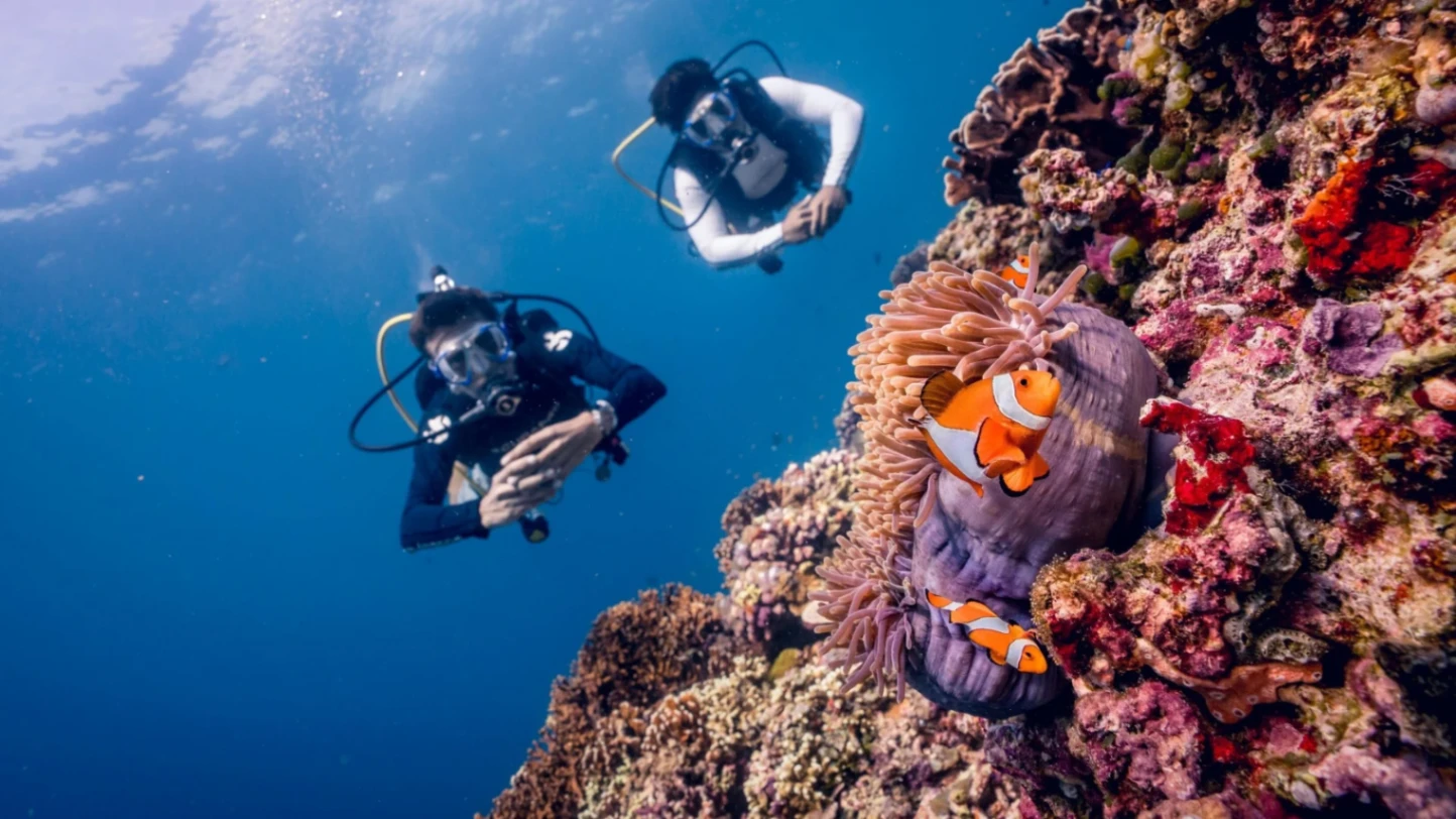 Open Water + Advanced